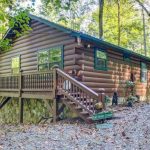 Friendly dog mountain cabin fantastic nature photography tripadvisor rental