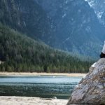 Couples retreats colorado marriage retreat relationship couple expert internationally renowned private